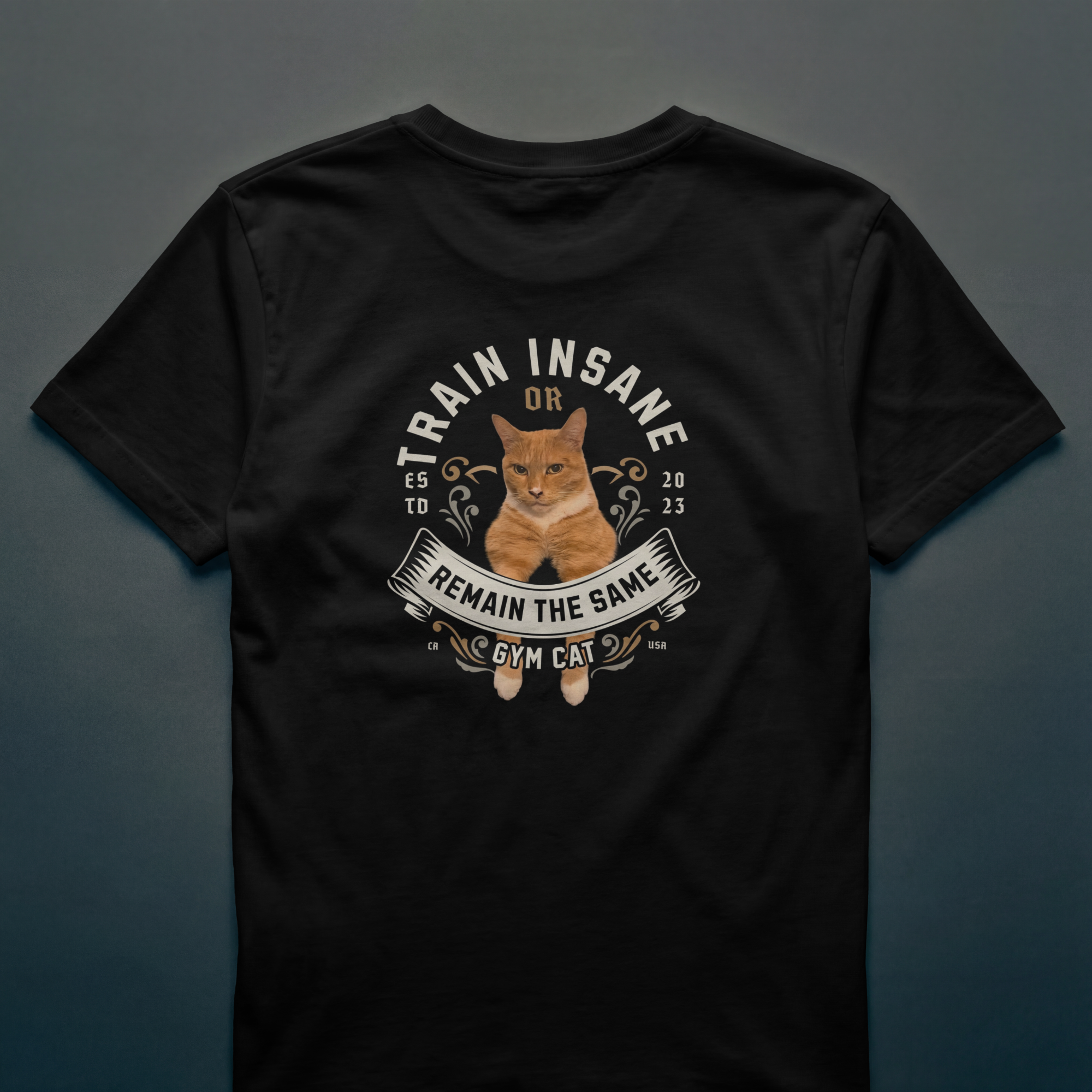 Train Insane or Remain the same